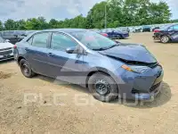 2019 Toyota COROLLA фото