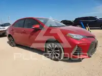 2019 Toyota COROLLA photo