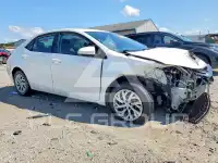 2019 Toyota COROLLA photo