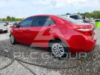 2019 Toyota COROLLA photo