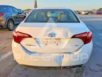 2019 Toyota COROLLA фото