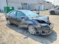 2019 Toyota COROLLA photo