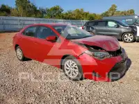 2019 Toyota COROLLA фото