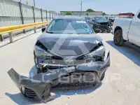 2019 Toyota COROLLA фото