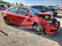 2019 Toyota COROLLA photo