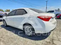 2019 Toyota COROLLA фото