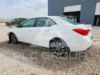 2019 Toyota COROLLA photo