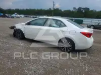 2019 Toyota COROLLA photo