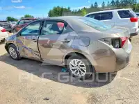 2019 Toyota COROLLA фото