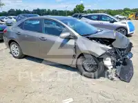 2019 Toyota COROLLA photo