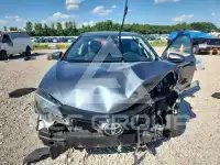 2019 Toyota COROLLA фото