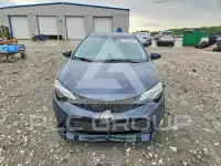 2019 Toyota COROLLA photo