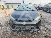 2019 Toyota COROLLA фото
