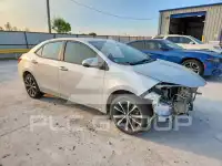 2019 Toyota COROLLA photo