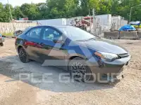 2019 Toyota COROLLA photo