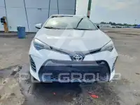 2019 Toyota COROLLA photo