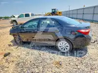 2019 Toyota COROLLA photo