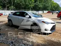 2019 Toyota COROLLA photo