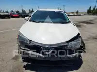2019 Toyota COROLLA photo