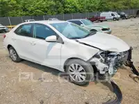 2019 Toyota COROLLA photo