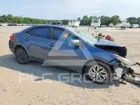 2019 Toyota COROLLA photo
