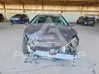 2019 Toyota COROLLA фото