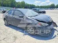 2019 Toyota COROLLA фото