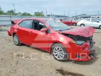 2019 Toyota COROLLA фото