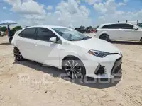 2019 Toyota COROLLA photo