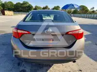 2019 Toyota COROLLA photo