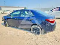 2019 Toyota COROLLA фото