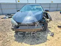 2019 Toyota COROLLA photo