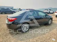 2019 Toyota COROLLA фото