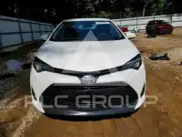 2019 Toyota COROLLA photo