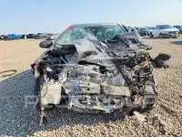 2019 Toyota COROLLA photo
