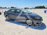 2019 Toyota COROLLA photo