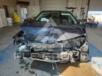 2019 Toyota COROLLA фото