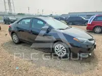 2019 Toyota COROLLA фото