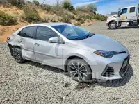 2019 Toyota COROLLA photo