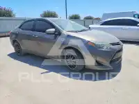 2019 Toyota COROLLA фото