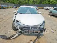 2019 Toyota COROLLA photo