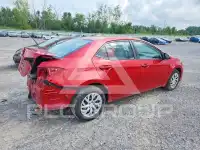 2019 Toyota COROLLA фото