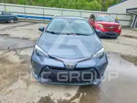 2019 Toyota COROLLA photo