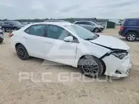 2019 Toyota COROLLA фото