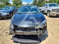 2019 Toyota COROLLA photo