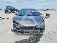 2019 Toyota COROLLA photo