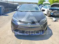 2019 Toyota COROLLA фото