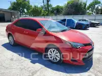 2019 Toyota COROLLA photo