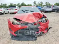 2019 Toyota COROLLA фото