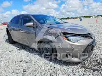 2019 Toyota COROLLA photo